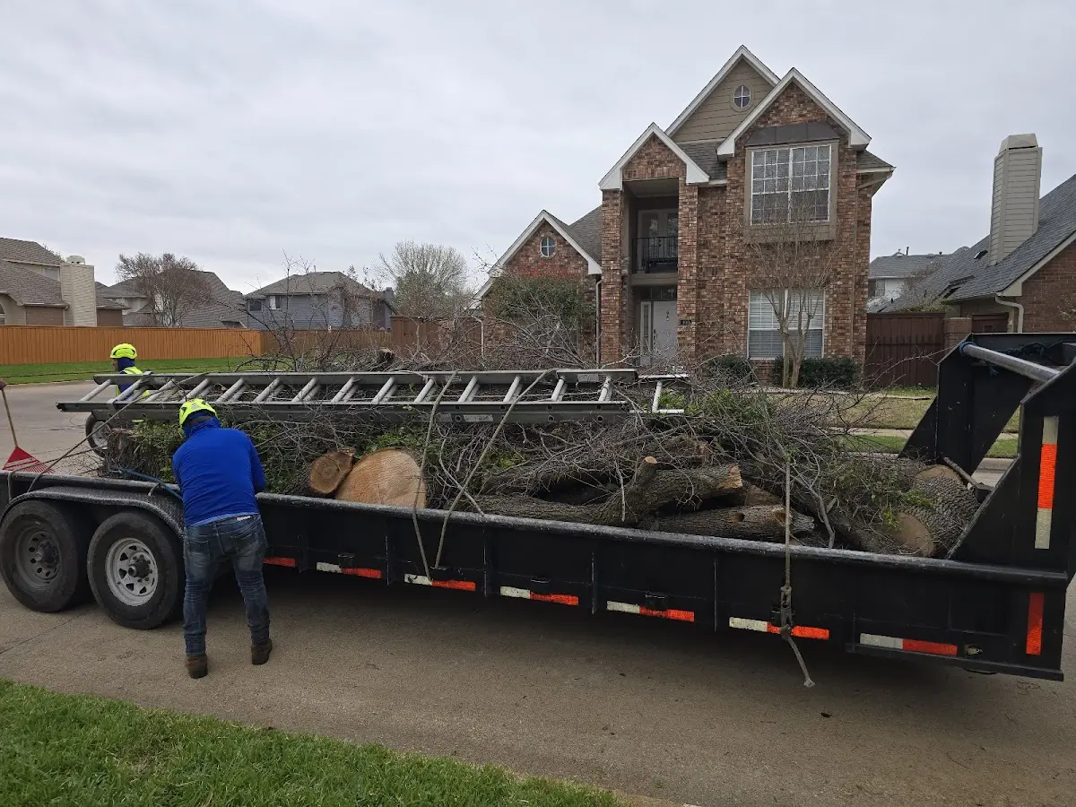 Expert Tree Fertilization with proper safety equipment in Plain Dealing